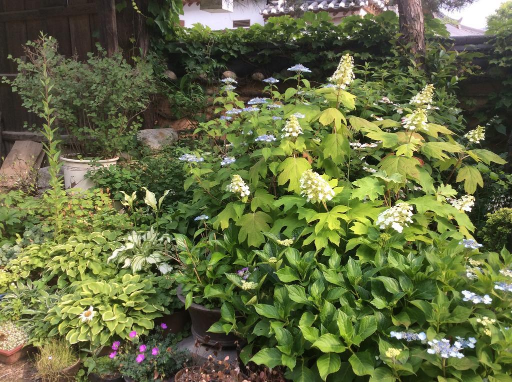 양사재 호텔 전주 외부 사진