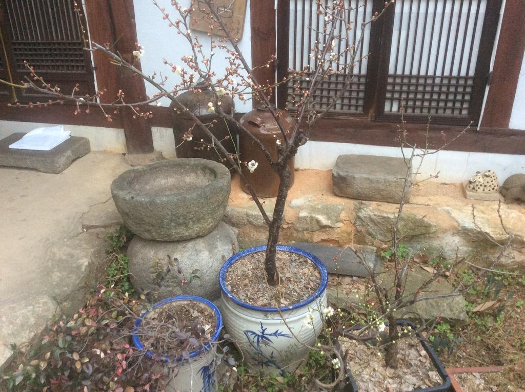 양사재 호텔 전주 외부 사진